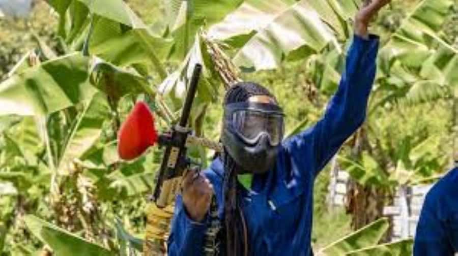 Hazyview : Paintball Target Shooting - What this Hazyview activity really offers