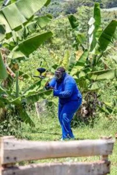 Paintball Target Shooting