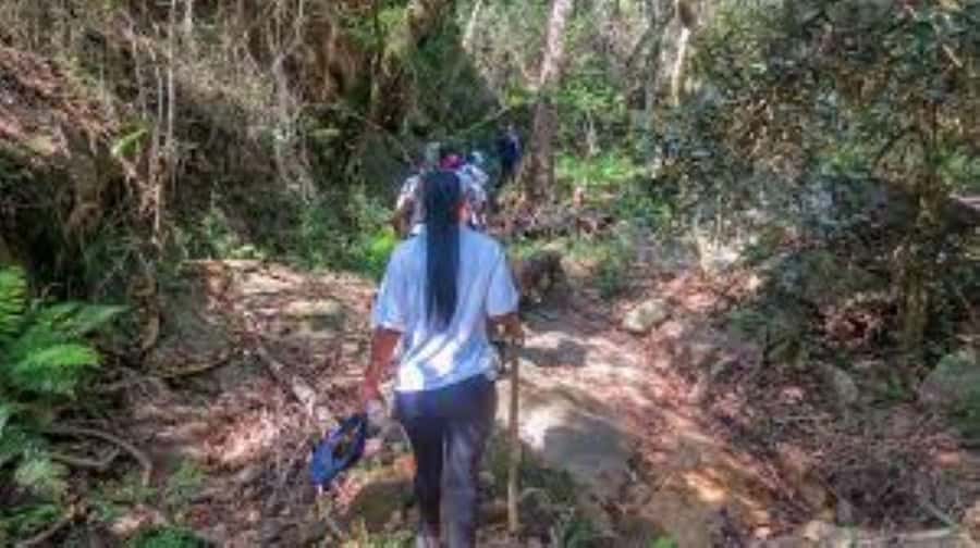 Hazyview : Sabie River Hiking Trail 12km - Key points before you book