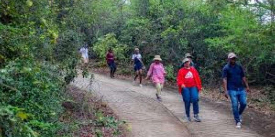 Hazyview : Sabie River Hiking Trail 12km - The 12km route and Cascade Waterfall
