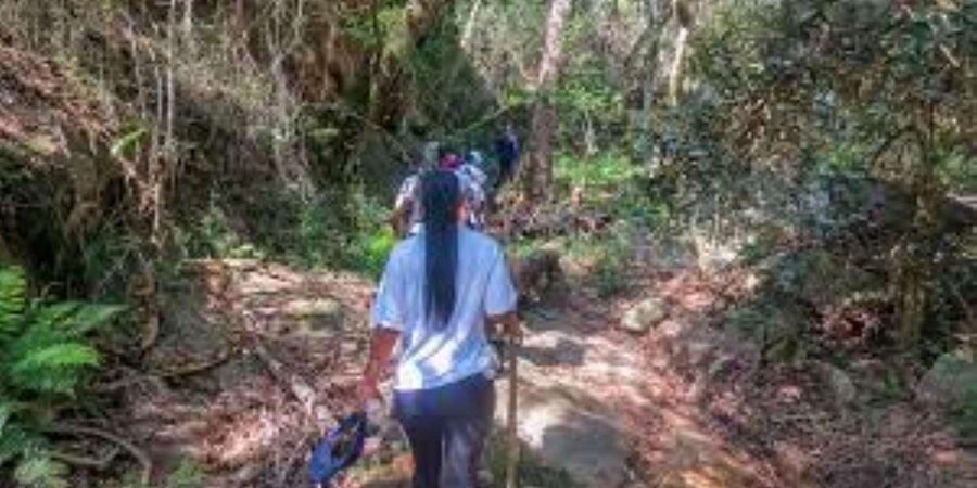 Hazyview : Sabie River Hiking Trail 12km - What the guide adds, and what may be missing