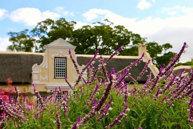 Helderberg Valley Winelands Day Tour with Private Transfer - Who will enjoy this day most