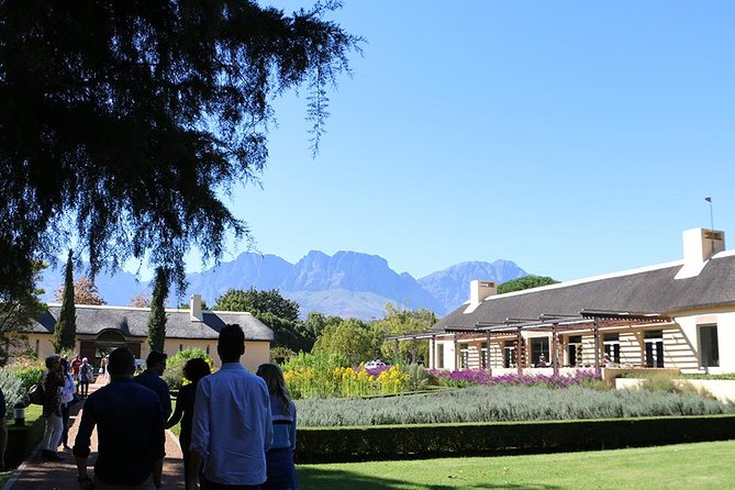 Helderberg Valley Winelands Day Tour with Private Transfer - Waterkloof: high views and a modern finish