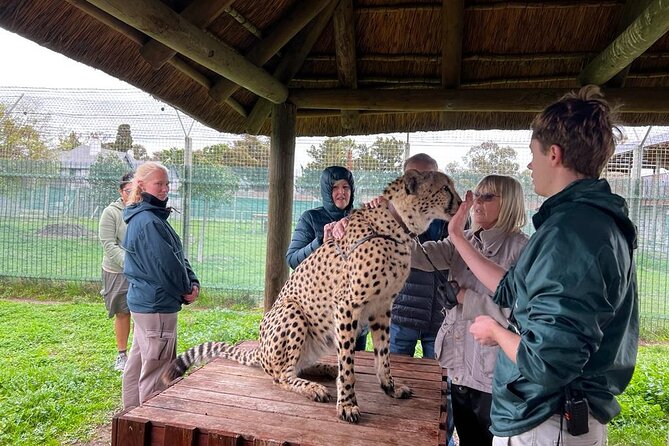 Helicopter, Boat Cruise, Big 5 Safari and Winelands Scenic Experience in 4 Days. - What the $966.39 price really covers