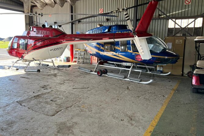 Helicopter, Boat Cruise, Big 5 Safari and Winelands Scenic Experience in 4 Days. - Timing, comfort, and practical points