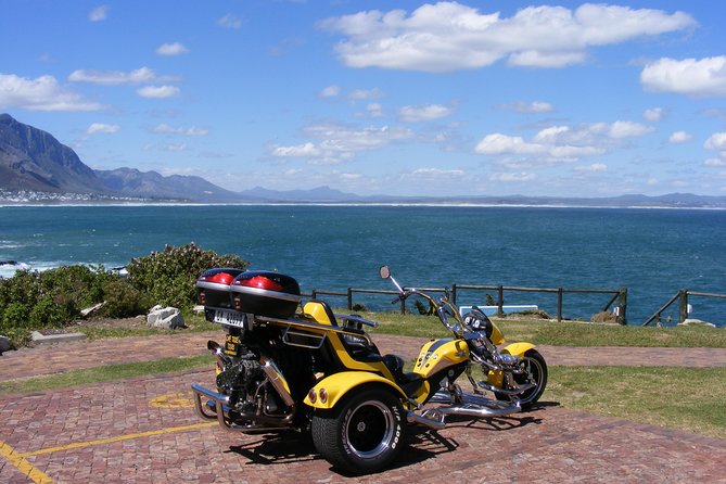 Hermanus and Whale Route Trike Tour from Cape Town - Key Points About the Hermanus Trike Tour