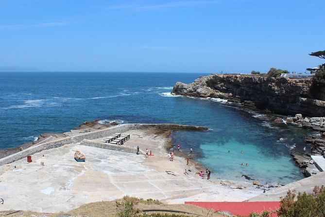 Hermanus and Whale Route Trike Tour from Cape Town - What the Guide Adds to the Experience