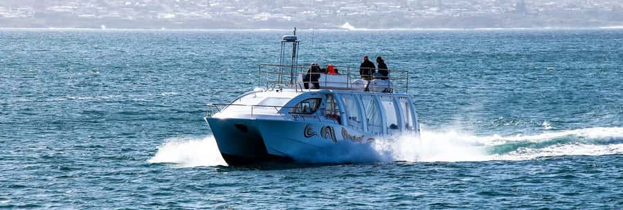Hermanus: Boat Based Whale Watching Experience - The upper deck, seating, and photography
