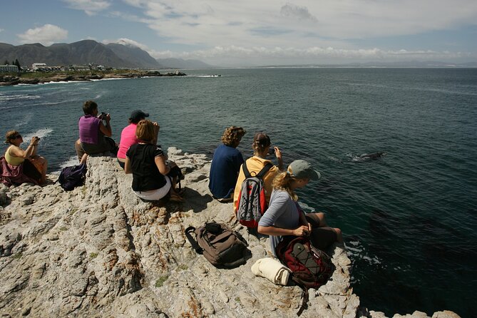 Hermanus Land based Whale Tour with Dave de Beer - Why Hermanus is a fine place for land-based whale watching