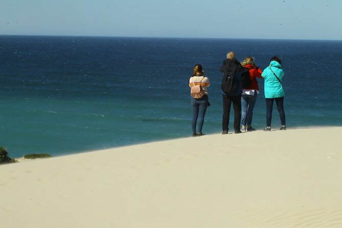 Hermanus Land based Whale Tour with Dave de Beer - Is the two-and-a-half-hour length right for you?