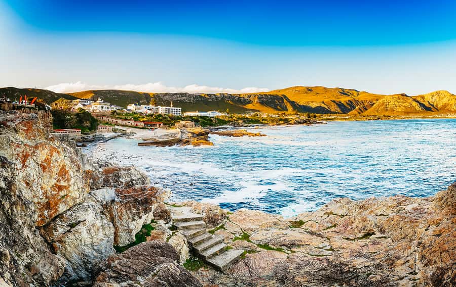 Hermanus: Whale and Dolphin Watching Boat Trip - Refreshments, photography, and the optional film