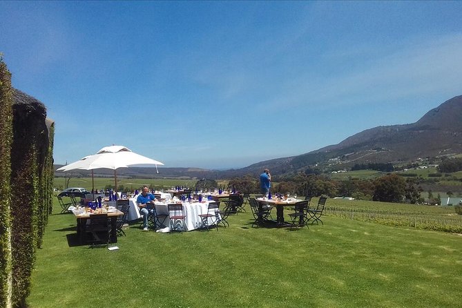 Hermanus Whale Coast Wine Tour (Cape To Grape Wine Tours) - Key points to know before booking