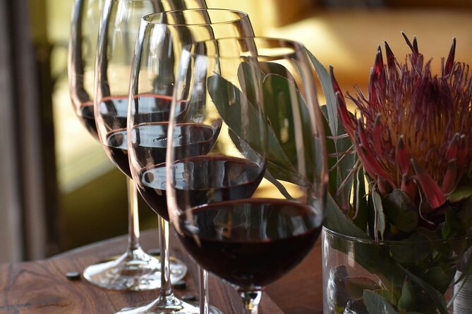 Hermanus Whale Watching and Wine Tasting - What the $235 price really covers