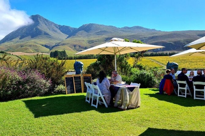 Hermanus Whale Watching and Wine Tasting Private Tour - Lunch by the Hermanus shore at Lemonicious