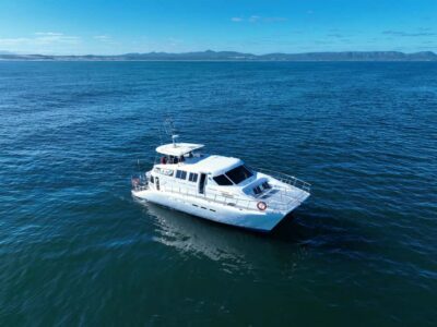 Whale Watching and Wine Testing