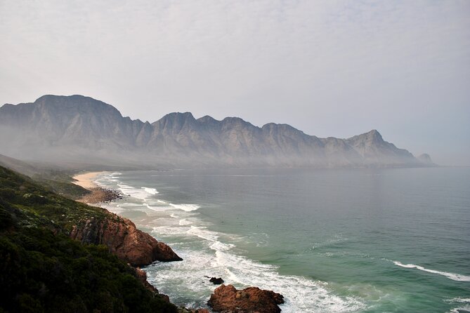 Hermanus Whales and Wine Full Day Private Tour - Who will get the most from this day