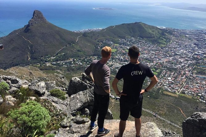 Hike Table Mountain or Lions Head in Cape Town Like a Local - A guide who adds local context