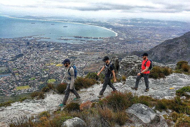 Hike Table Mountain with a Guide - Choose Route - At the summit, the payoff changes character
