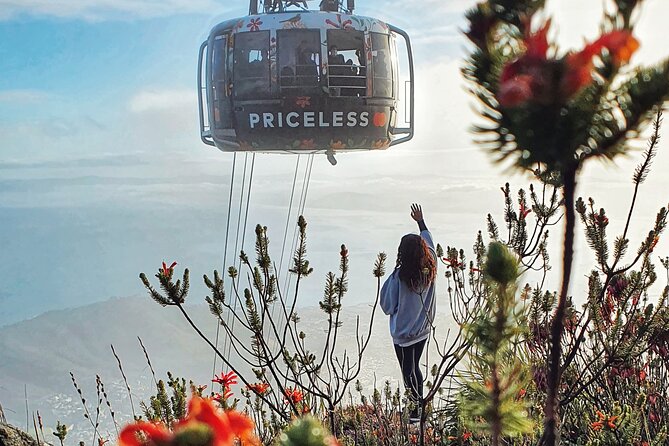 Hike Table Mountain with a Guide - Choose Route - Returning by cable car or on foot