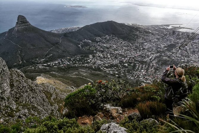 Hike Table Mountain with a Guide - Choose Route - Starting at the Table Mountain cableway