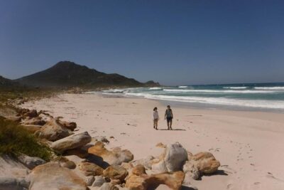 Hiking Cape of Good hope, Cape Point & Penguins Private Full Day