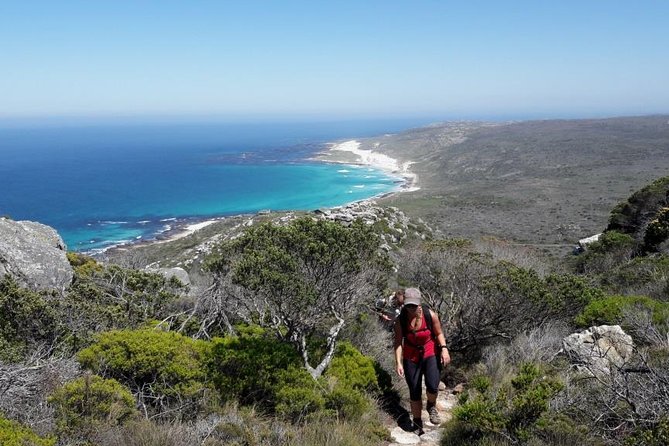 Hiking Cape of Good Hope & Cape Point Private Full Day Tour - Why this private Cape Point day works