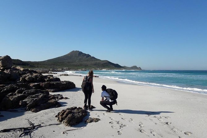 Hiking Cape of Good Hope & Cape Point Private Full Day Tour - Chapman’s Peak Drive is more than a transfer