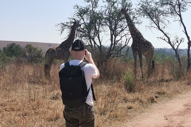 Hiking In the Magaliesberg,Wildlife hike an hour fromJohannesburg - Why This Magaliesberg Hike Makes Sense From Johannesburg