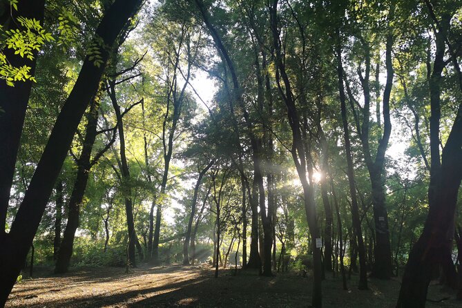 Hiking In the Magaliesberg,Wildlife hike an hour fromJohannesburg - Safety, Guidance, and Solo Hiking