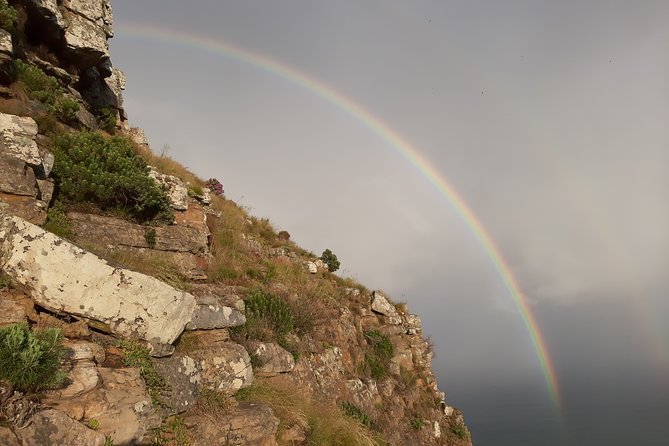Hiking Lion's Head for sunrise, coffee & hotel Pick-up & Drop off - The descent takes about 45 minutes