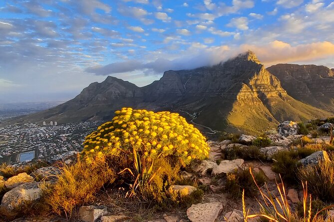 Hiking Lion's Head Sunrise or Sunset - Is $70.13 a fair price?