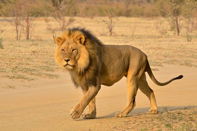 Hluhluwe and Imfolozi Safari Day Tour from Richards Bay - From Richards Bay to Zululand’s Oldest Reserve