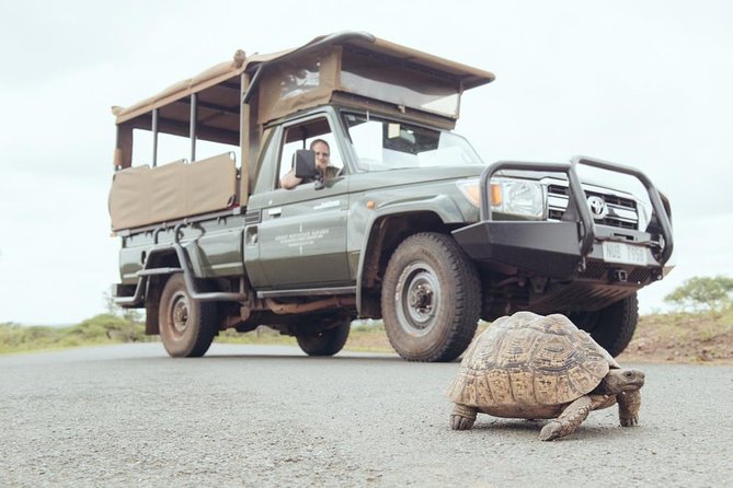 Hluhluwe Game Drive - Half day - Meeting at Memorial Gate in Hluhluwe