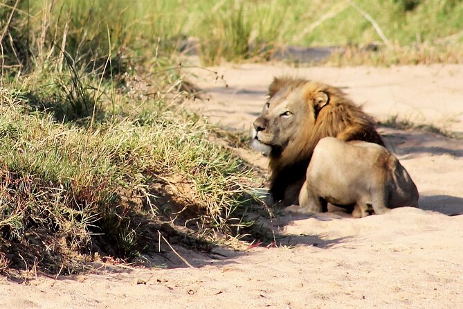 Hluhluwe Game Drive - Half day - What the Private Vehicle Changes