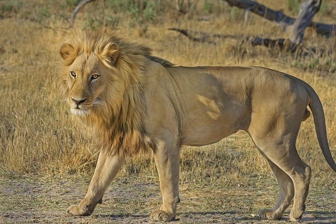 Hluhluwe Imfolozi Big 5 Reserve day Safari from Durban - Key details at a glance
