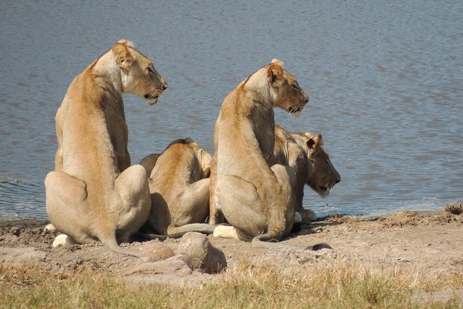 Hluhluwe/iMfolozi Game Reserve Full Day Game Drive - Why Hluhluwe-iMfolozi makes a worthwhile safari day
