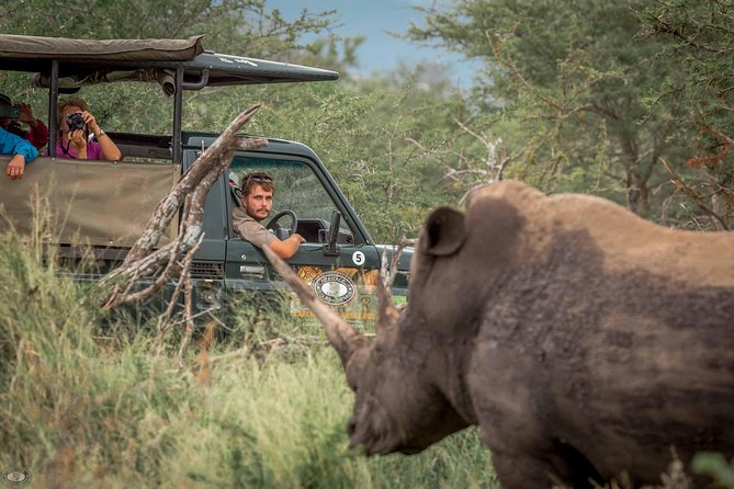 Hluhluwe-Imfolozi Park Full Day Big 5 Safari Tour - Key points to know before you book