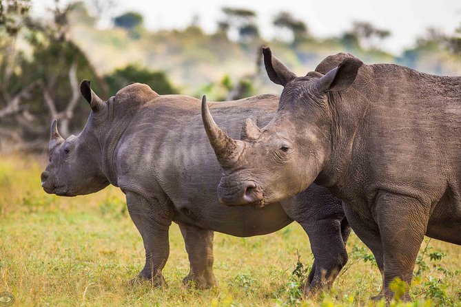 Hluhluwe-Imfolozi Park Full Day Big 5 Safari Tour - Entering through Nyalazi Gate