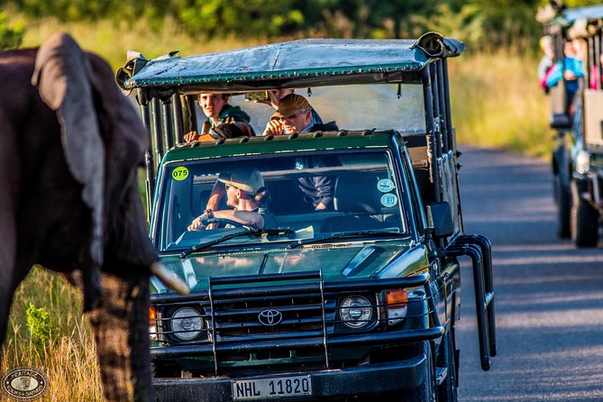 Hluhluwe-Imfolozi Park Full Day Big 5 Safari Tour - A 5:00 am start from St Lucia