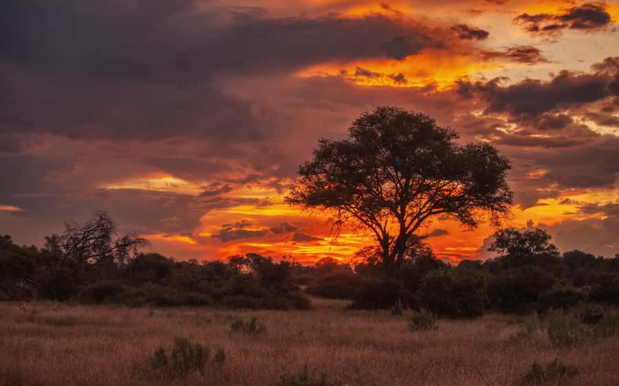 Hluhluwe-iMfolozi Park - Open Safari Vehicle Game Drives - Key points at a glance
