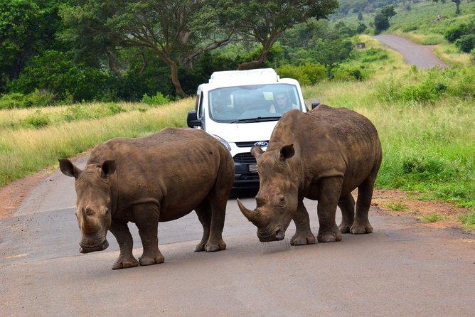 Hluhluwe Imfolozi Safari & St Lucia Boat Safari Day Tour from Durban - St Lucia estuary by boat
