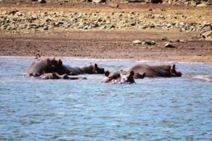 Hoedspruit: Blyde River Canyon Dam Boat Cruise - Why the dam gives you a better canyon view