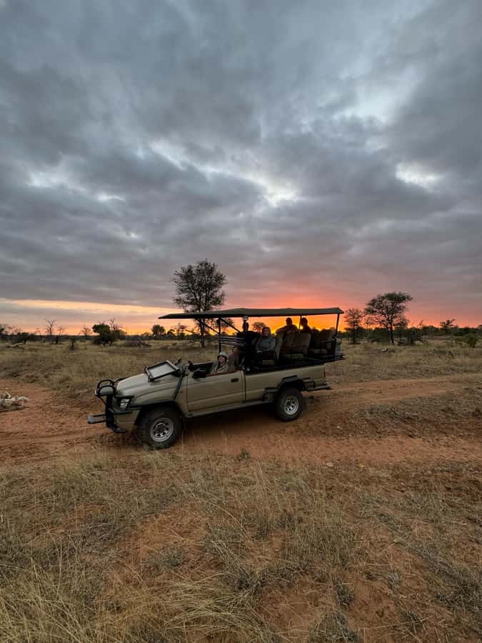 Hoedspruit: Dinner in the Bush & Safari Game Drive - Key things to know before you book