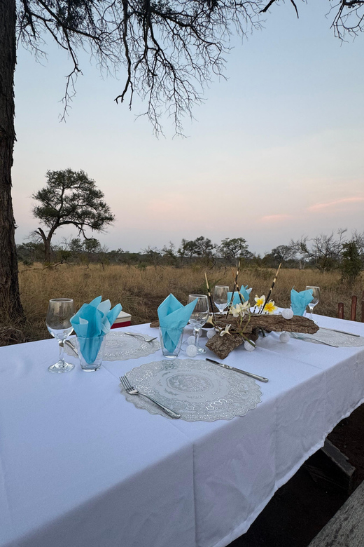 Hoedspruit: Dinner in the Bush & Safari Game Drive - Should you book the bush dinner?