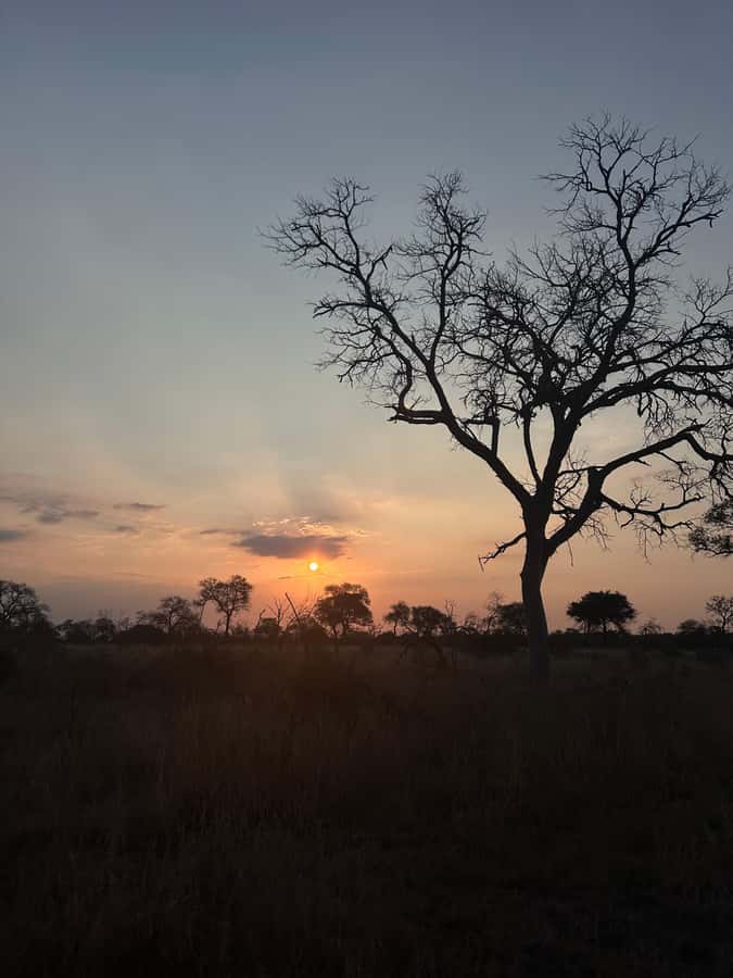 Hoedspruit: Dinner in the Bush & Safari Game Drive - Leaving Hoedspruit for the Greater Kruger