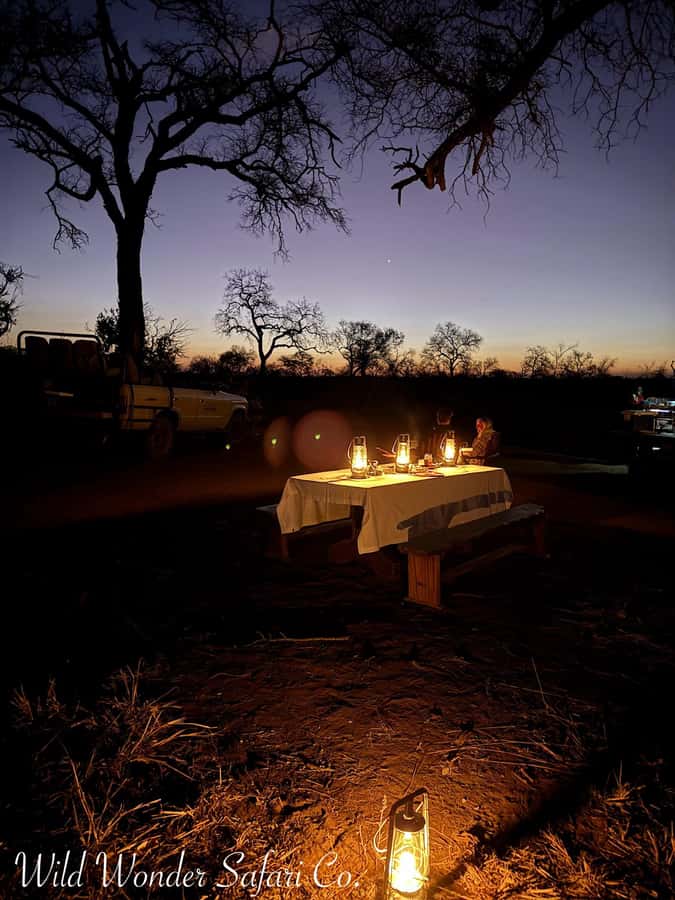 Hoedspruit: Dinner in the Bush & Safari Game Drive - Guides, questions, and the value of a small group