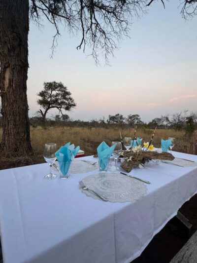 Hoedspruit: Dinner in the Bush & Safari Game Drive