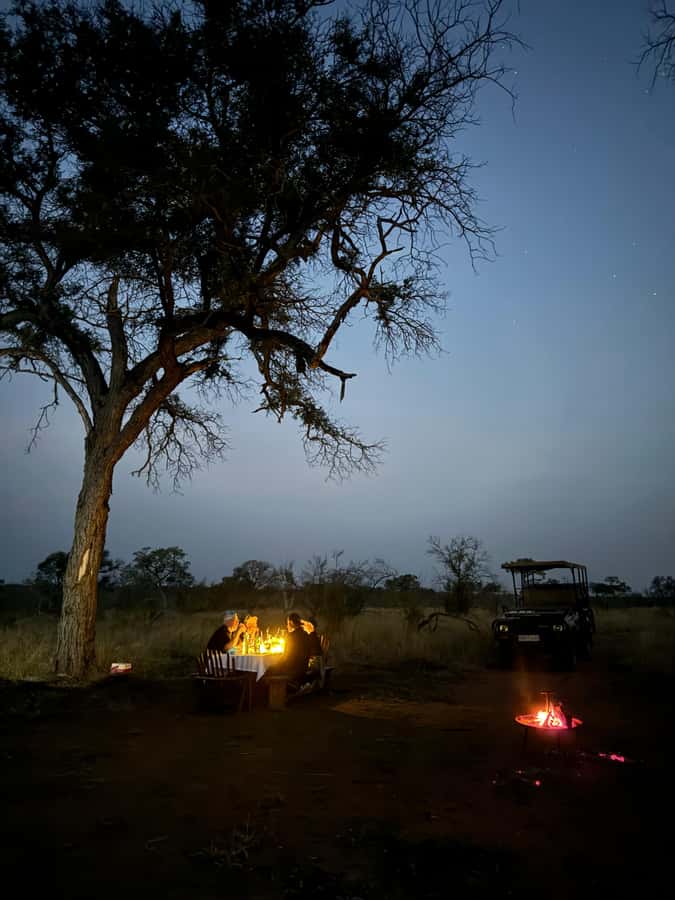 Hoedspruit: Dinner in the Bush & Safari Game Drive - Sunset by the fire, followed by dinner