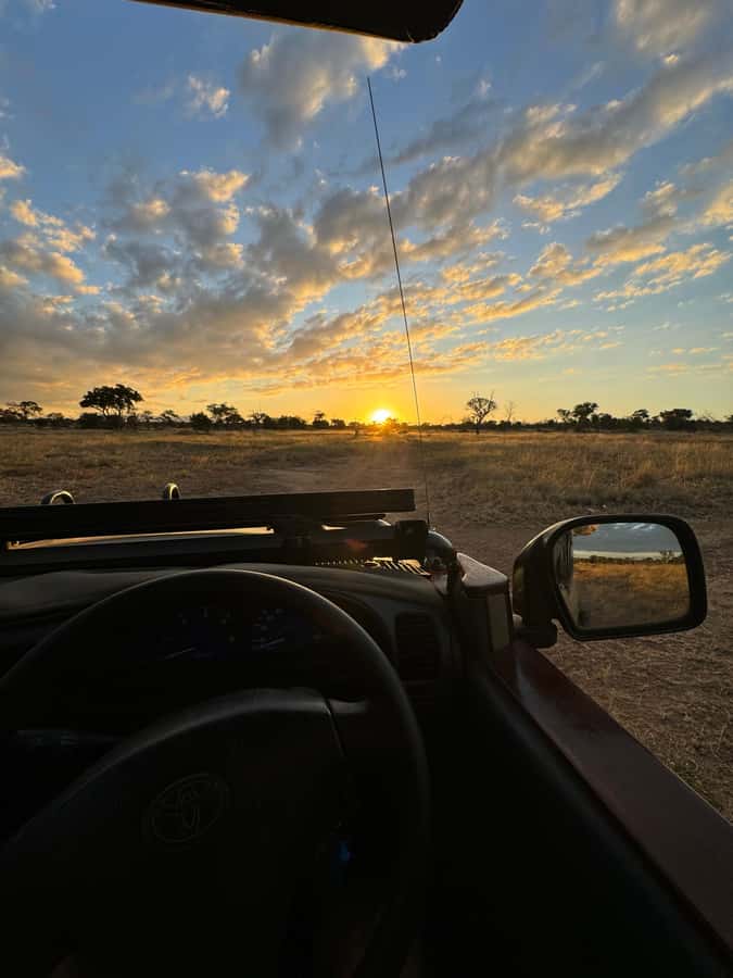 Hoedspruit: Evening Safari In Greater Kruger Private Reserve - Tracking animals instead of chasing a checklist