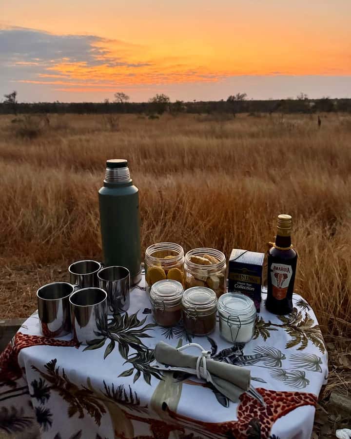 Hoedspruit: Full Day in ICONIC Kruger National Park - Key points at a glance